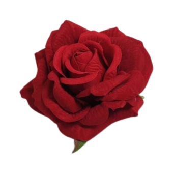 Róża welurowa SUN450V