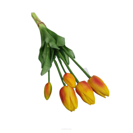 Tulipan wiązany 3 + 2 gumowy lateksowy 13 - 12