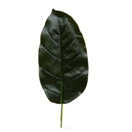 Liść Bananowca RX 056