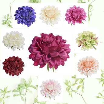 Dalia wyrobowa 757