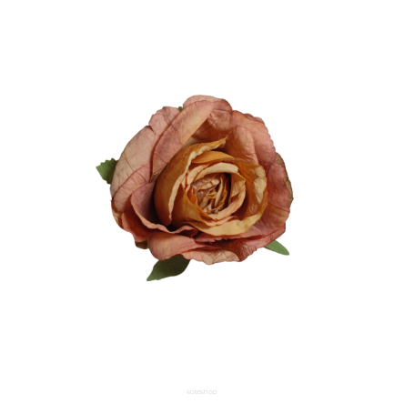Róża Wyrobowa 229