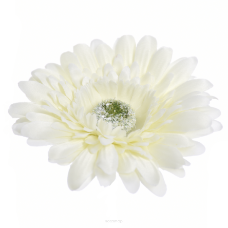 Gerbera Wyrobowa 754