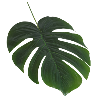 Liść monstera duży RX058A