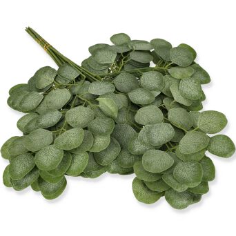 Liść Eukaliptusa x3 36-001